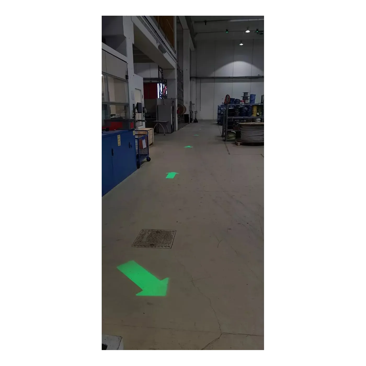 Projektor bezpieczeństwa LED 4signal 50W, czerwony