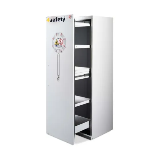 Szafa ognioodporna BASIC rozmiar M 90 min 600 x 600 x 1950 mm
