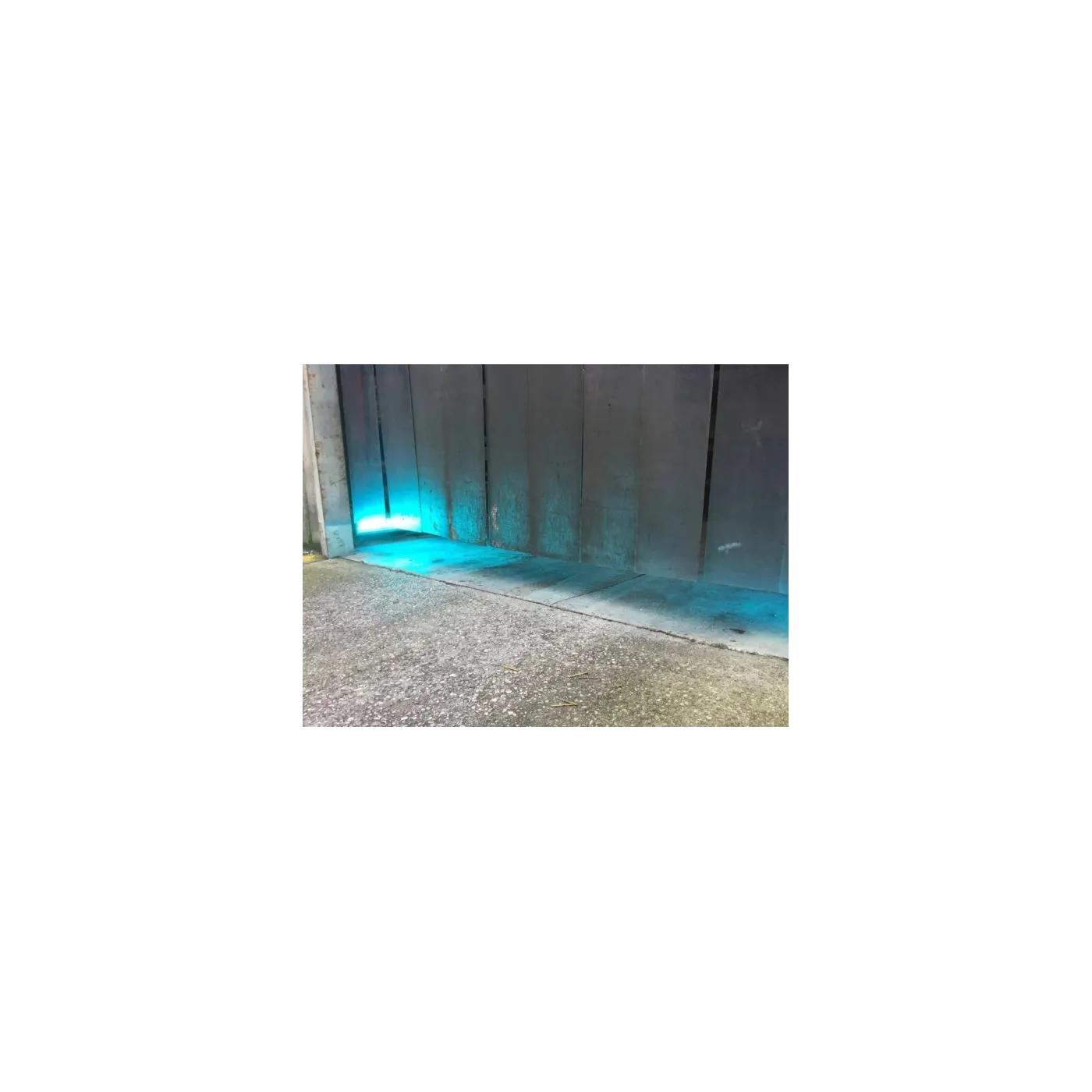 Projektor LED odstraszający ptaki Linear-Evo Fly Pigeon 35W